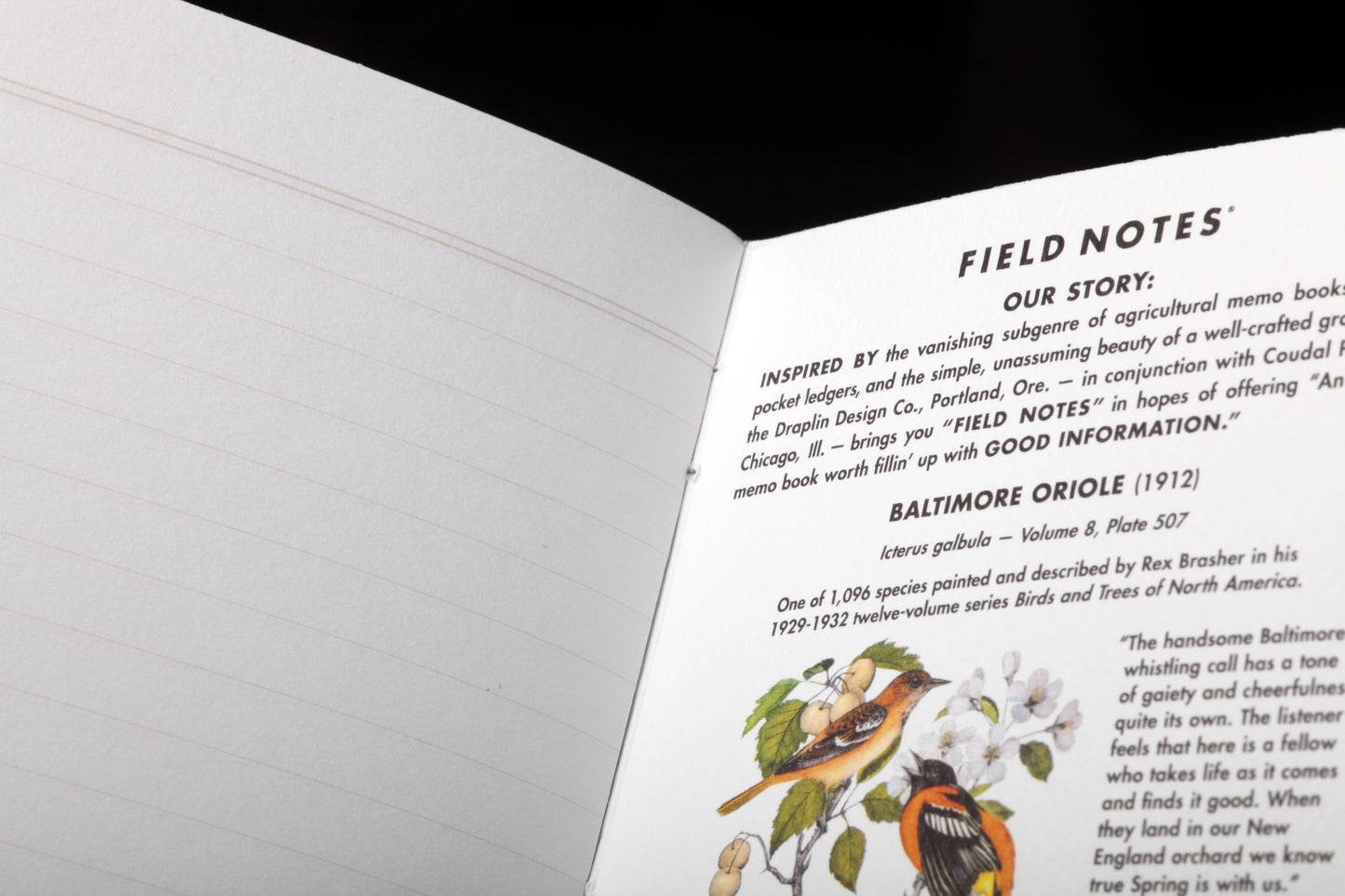 Field Notes | The Birds And Trees Of North America Limited Edition Notebook | 3 Pack